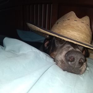 Meet your Posher, Aaron